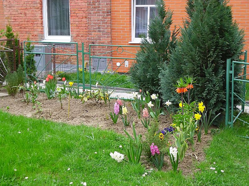 Jarní zahrada 2